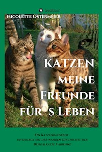 KATZEN - meine Freunde für's Leben - Nicolette Ostermeier - E-Book