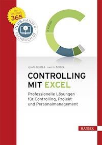 Controlling mit Excel - Ignatz Schels - E-Book