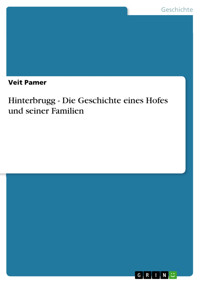 Hinterbrugg - Die Geschichte eines Hofes und seiner Familien - Veit Pamer - E-Book