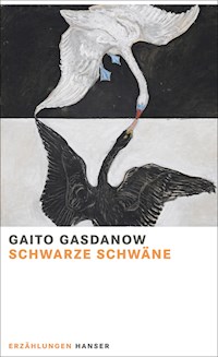 Schwarze Schwäne - Gaito Gasdanow - E-Book