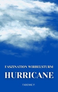 Hurricane - Fabienne P. - E-Book