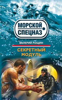 Секретный модуль - Валерий Рощин - E-Book