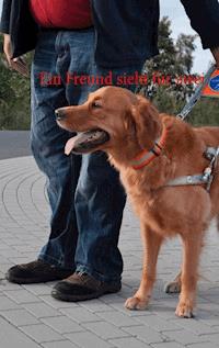 Ein Freund sieht für zwei - Udo Fehring - E-Book