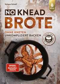 No-Knead-Brote - Valesa Schell - E-Book