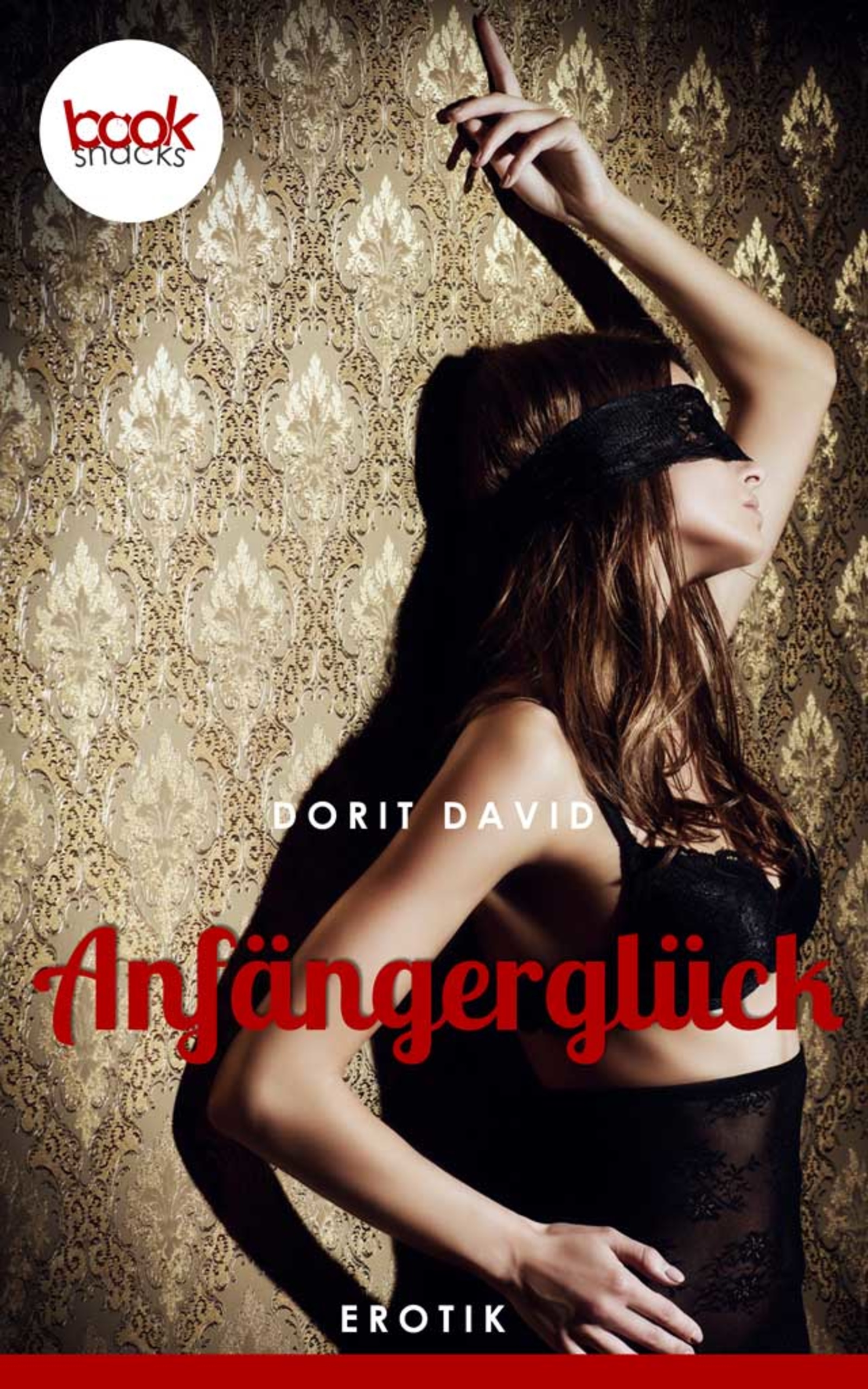 Anfängerglück - Dorit David - E-Book