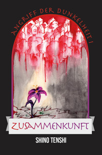 Zusammenkunft - Shino Tenshi - E-Book