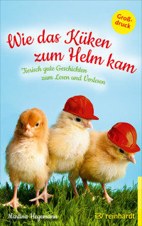 Wie das Küken zum Helm kam - Martina Hegemann - E-Book