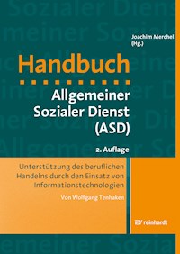 Unterstützung des beruflichen Handelns durch den Einsatz von Informationstechnologien - Wolfgang Tenhaken - E-Book
