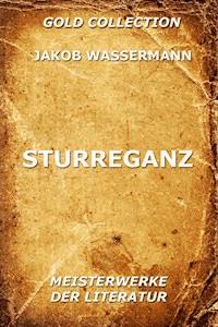 Sturreganz - Jakob Wassermann - E-Book
