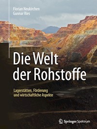 Die Welt der Rohstoffe - Florian Neukirchen - E-Book