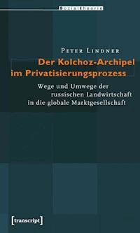 Der Kolchoz-Archipel im Privatisierungsprozess - Peter Lindner - E-Book