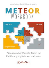 MeTeOr-Workbook - Mona Lambert - E-Book