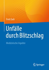 Unfälle durch Blitzschlag - Fred Zack - E-Book