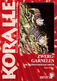 Zwerggarnelen im Meerwasseraquarium - Inken Krause - E-Book