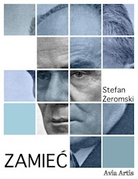 Zamieć - Stefan Żeromski - E-Book
