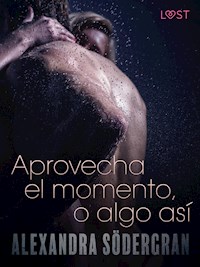 Aprovecha el momento, o algo así - Relato erótico - Alexandra Södergran - E-Book