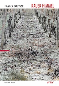 Rauer Himmel - Franck Bouysee - E-Book