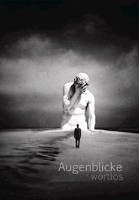 AugenblickeWortlos - Carsten Nichte - E-Book