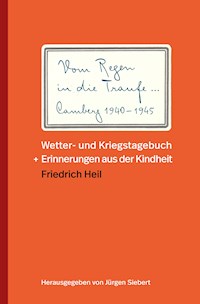 Vom Regen in die Traufe - Friedrich Heil - E-Book