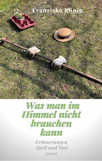 Was man im Himmel nicht brauchen kann - Franziska König - E-Book