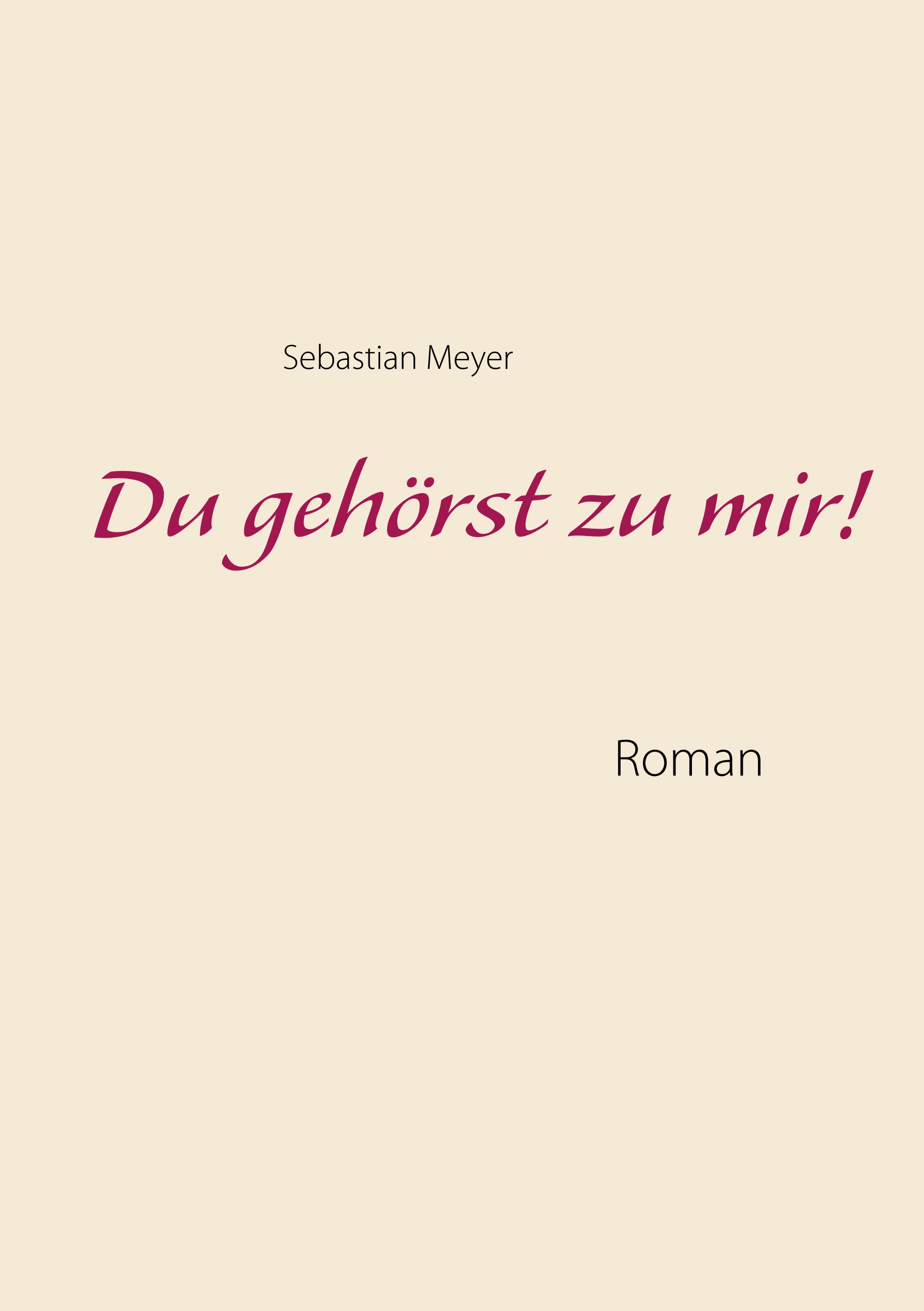 Du gehörst zu mir! - Sebastian Meyer - E-Book