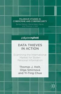 Data Thieves in Action - Thomas J. Holt - E-Book