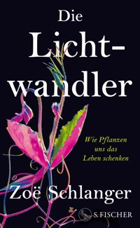Die Lichtwandler - Zoë Schlanger - E-Book