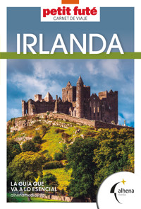 Irlanda – Carnet de viaje - VVAA - E-Book