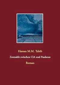 Zermahlt zwischen CIA und Pasdaran - Hassan M.M. Tabib - E-Book