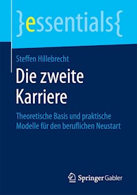 Die zweite Karriere - Steffen Hillebrecht - E-Book