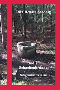 Tod am Schachenbrunnen - Rita Renate Schönig - E-Book