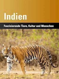 Indien - Harald Lydorf - E-Book