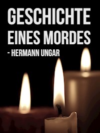 Geschichte eines Mordes - Hermann Ungar - E-Book