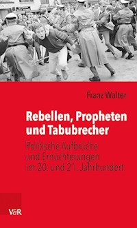 Rebellen, Propheten und Tabubrecher - Franz Walter - E-Book