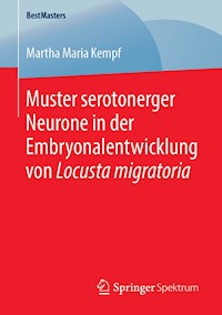 Muster serotonerger Neurone in der Embryonalentwicklung von Locusta migratoria - Martha Maria Kempf - E-Book