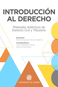 INTRODUCCIÓN AL DERECHO - Varios autores - E-Book