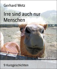 Irre sind auch nur Menschen - Gerhard Wetz - E-Book