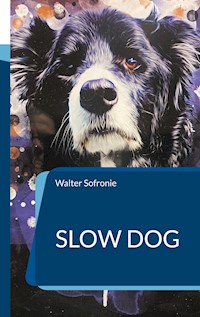 Slow Dog - Walter Sofronie - E-Book