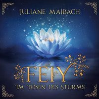 Im Tosen des Sturms - Feiy, Band 3 (Ungekürzt) - Juliane Maibach - Hörbuch