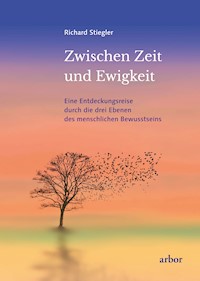 Zwischen Zeit und Ewigkeit - Richard Stiegler - E-Book