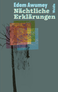Nächtliche Erklärungen - Edem Awumey - E-Book