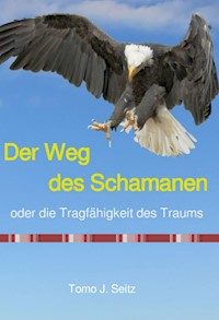 Der Weg des Schamanen oder die Tragfähigkeit des Traums - Tomo J. Seitz - E-Book