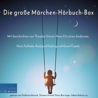 Die große Märchen-Hörbuch-Box - Theodor Storm - Hörbuch