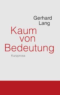 Kaum von Bedeutung - Gerhard Lang - E-Book