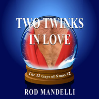 Two Twinks In Love - 12 Gays of Xmas, book 2 (Unabridged) - Rod Mandelli - Hörbuch