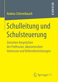 Schulleitung und Schulsteuerung - Andrea Schmerbauch - E-Book