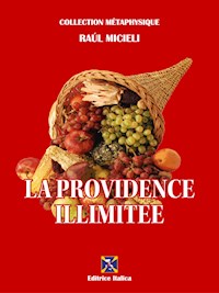 La Providence Illimitée - Raúl Micieli - E-Book