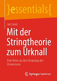 Mit der Stringtheorie zum Urknall - Jan Louis - E-Book