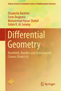 Differential Geometry - Elisabetta Barletta - E-Book