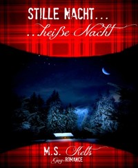 Stille Nacht, heiße Nacht ... - M.S. Kelts - E-Book